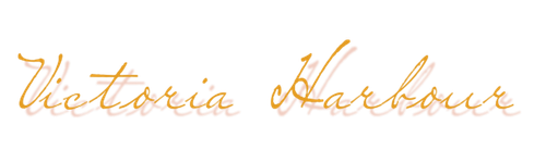 zs.png