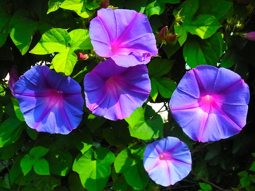 3d360e40345d93f167722c7bb31c55a1.jpg