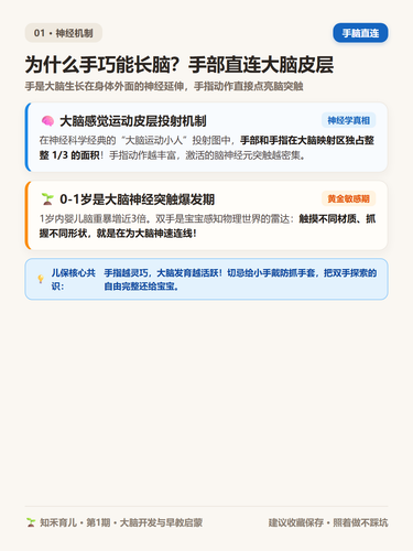 14 P2 手脑发育 手部神经与脑连接秘密.2