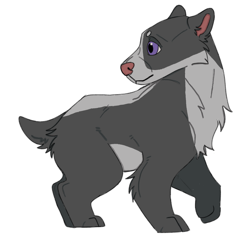 IMG 0068.png