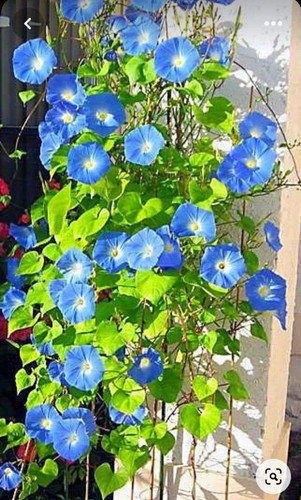29abb835d5b4ae93f8c931ee430a1e56.jpg