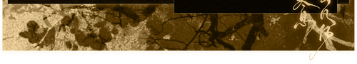 1000120790.png