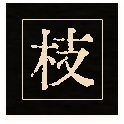 1000120796.png