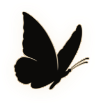 1000120806.png