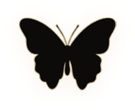 1000120810.png