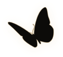 1000120812.png