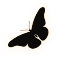 1000120808.png