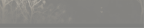 1000120712.png