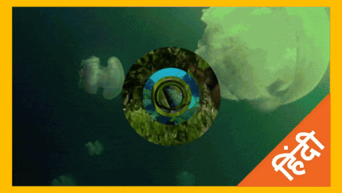 77544.gif