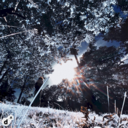 b3471eb40845.png
