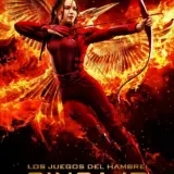 8132026125510