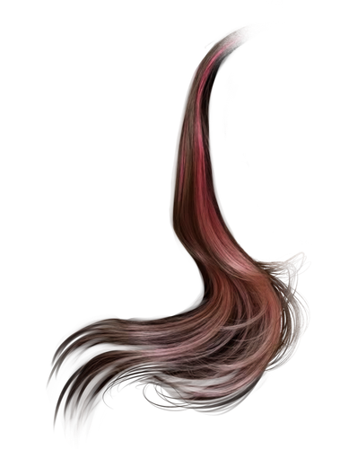 IMG 9210.png