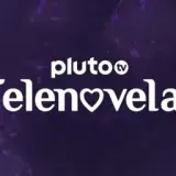 8132026173751