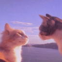 6c8d42df020b.png