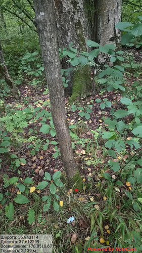 6aa7071283879.jpg
