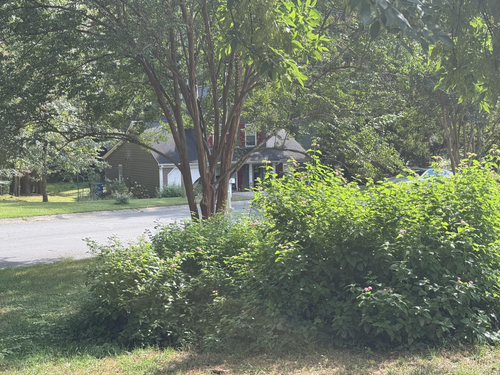 house neighborhood plants show a system.png