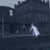 IMG 8085.gif
