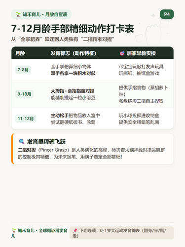 14 P4 月龄进阶 7到12个月对敲捏取用勺.png