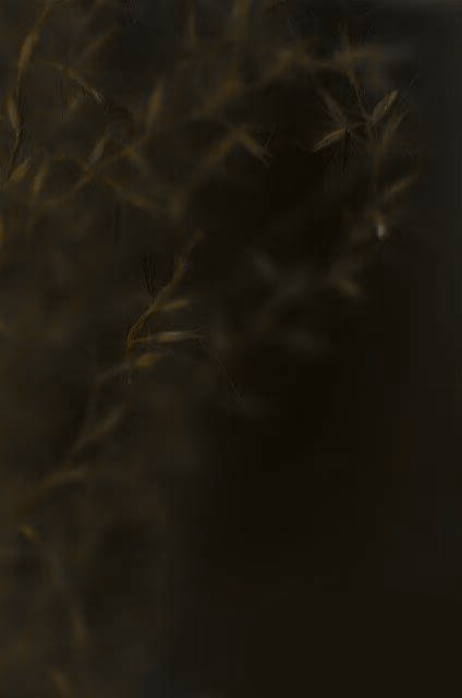 1000120949.png