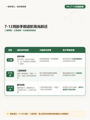 14 P4 月龄进阶 7到12个月对敲捏取用勺.png