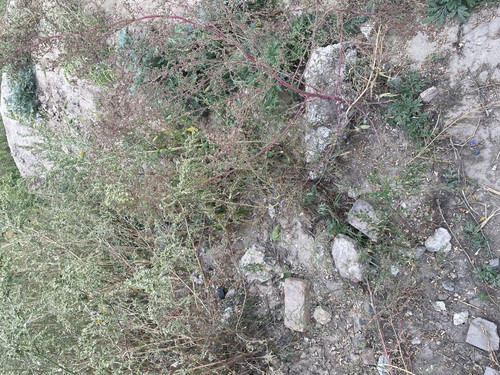 6aa77003b7409.jpg
