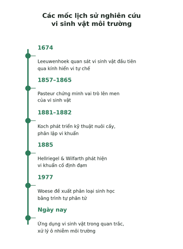 hinh1 1 timeline.png
