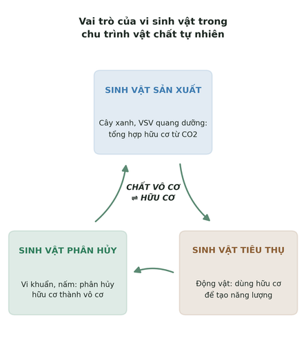 hinh1 2 chutrinh.png