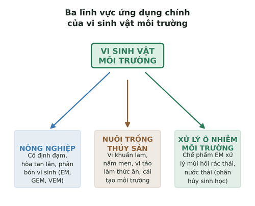 hinh1 3 ungdung.png