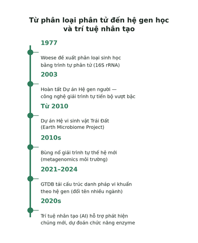 hinh1 4 timeline modern.png