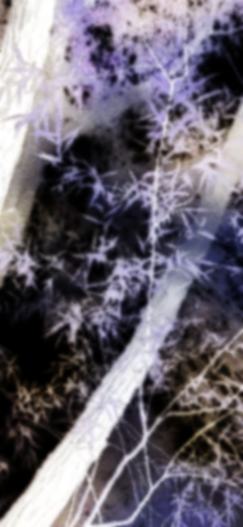 1000120973.png