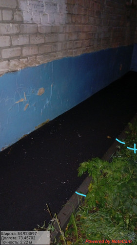 6aa7186070d67.jpg