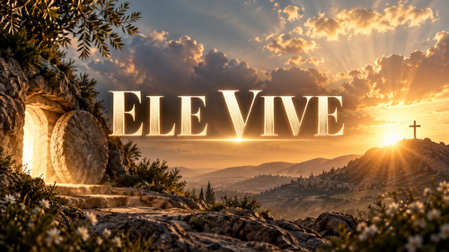 9DB24FEA 8C8D 4BF6 81CB 90424025E45A.png
