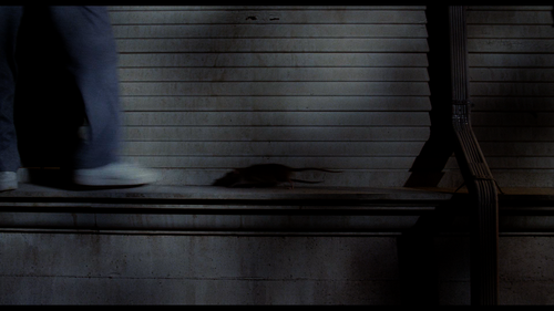image 5.png