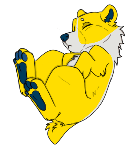IMG 0070.png