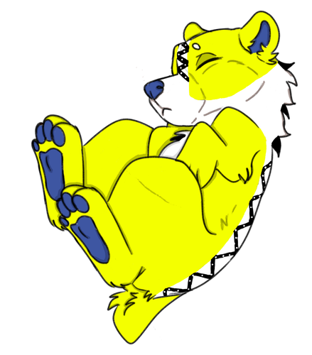 IMG 0071.png