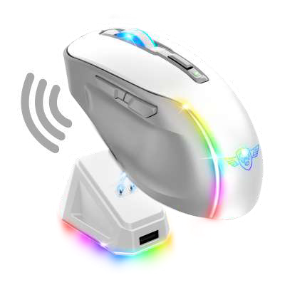 pdf import 1788540981561 SOG PADXXR 5lhk.png