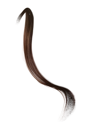 IMG 9211.png