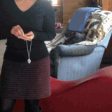 face gif.gif