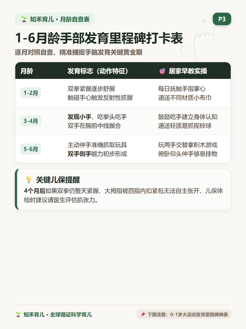 14 P3 月龄进阶 1到6个月握持吃手双手拿.png