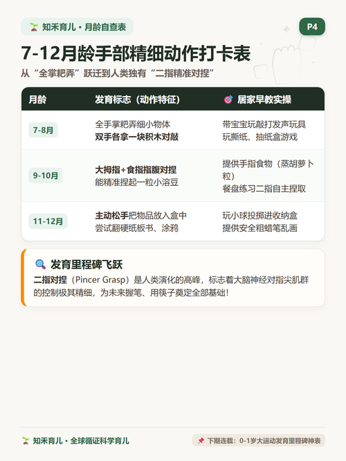 14 P4 月龄进阶 7到12个月对敲捏取用勺.png
