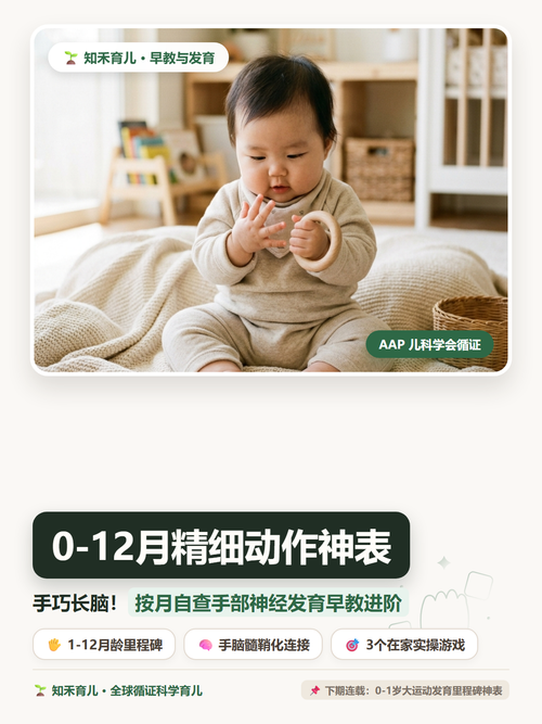 14 P1 封面 0到1岁精细动作手脑进阶.png