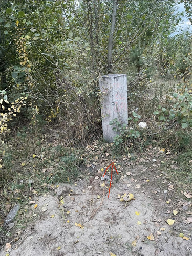 6aa76bb314455.jpg