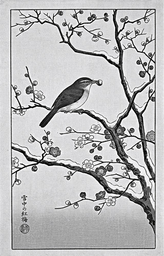 Vogel mit Pflaumenfrucht im Schnabel auf schneebedecktem Zweig — traditioneller japanischer Holzschn.jpg
