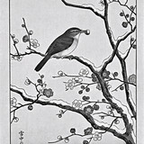 Vogel mit Pflaumenfrucht im Schnabel auf schneebedecktem Zweig — traditioneller japanischer Holzschn