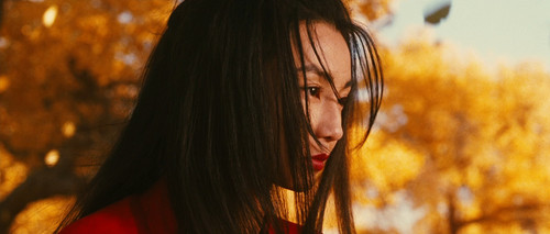 98362155.jpg