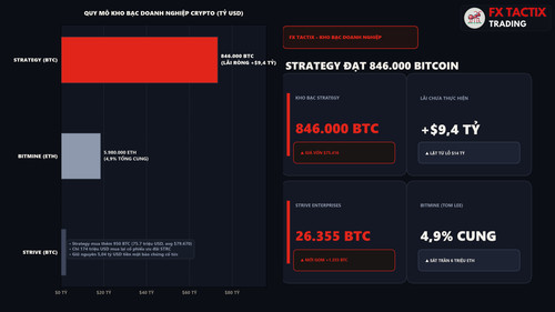 video2568 p01 strategy treasury 169.jpg