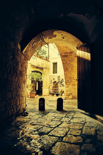  X3A0173.jpg