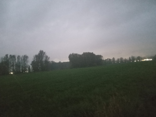 20251031 180911.jpg