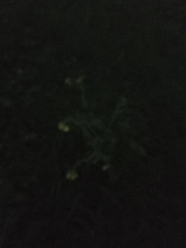 20251031 181251.jpg