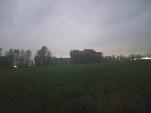 20251031 180919.jpg